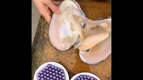 Amazing pearl mining / Удивительная добыча жемчуга.