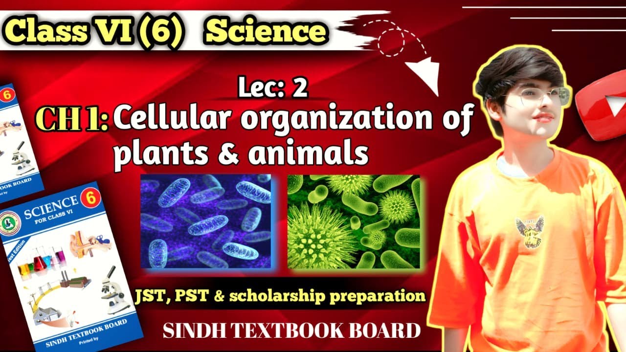 Class 6: Science | Chapter 1: Cellular Organization Of Plants And Animals | Lec:2 | Sindh textbook