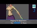 Rigging for Beginners: the Arms in Maya