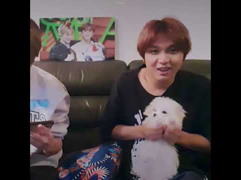 [NCT] 🌱대갈공쥬 브이앱 데뷔🌱