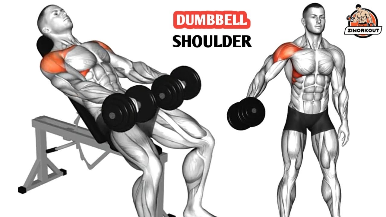 6 упражнений с гантелями для сутулых и сильных плеч 💥