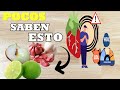 Cómo Bajar el Colesterol y Triglicéridos Naturalmente, Remedio Casero!