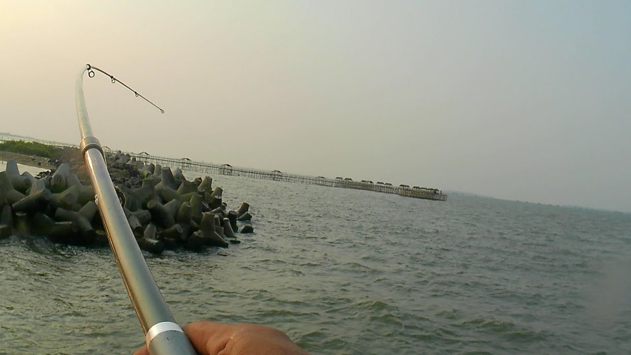 Mancing bagan Pertamina terbaru.. bagan Barokah.