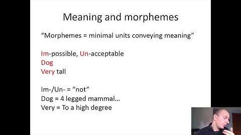 English 370 Semantics 1