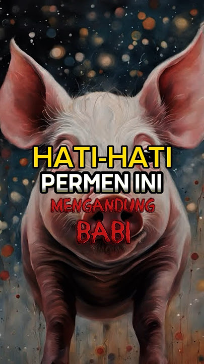 PERMEN YUPI TERBUAT DARI BABI