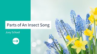 How to Teach Preschoolers About Insects