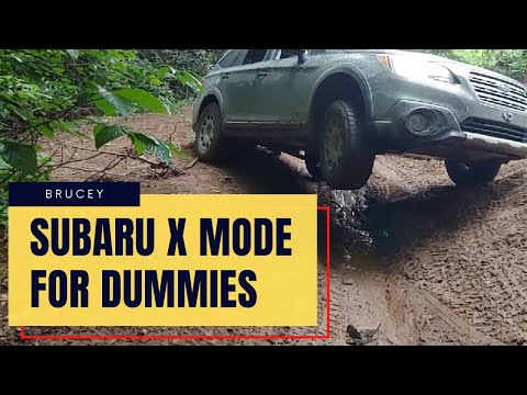 Video: Hvordan får jeg min Subaru ud af betjent tilstand?