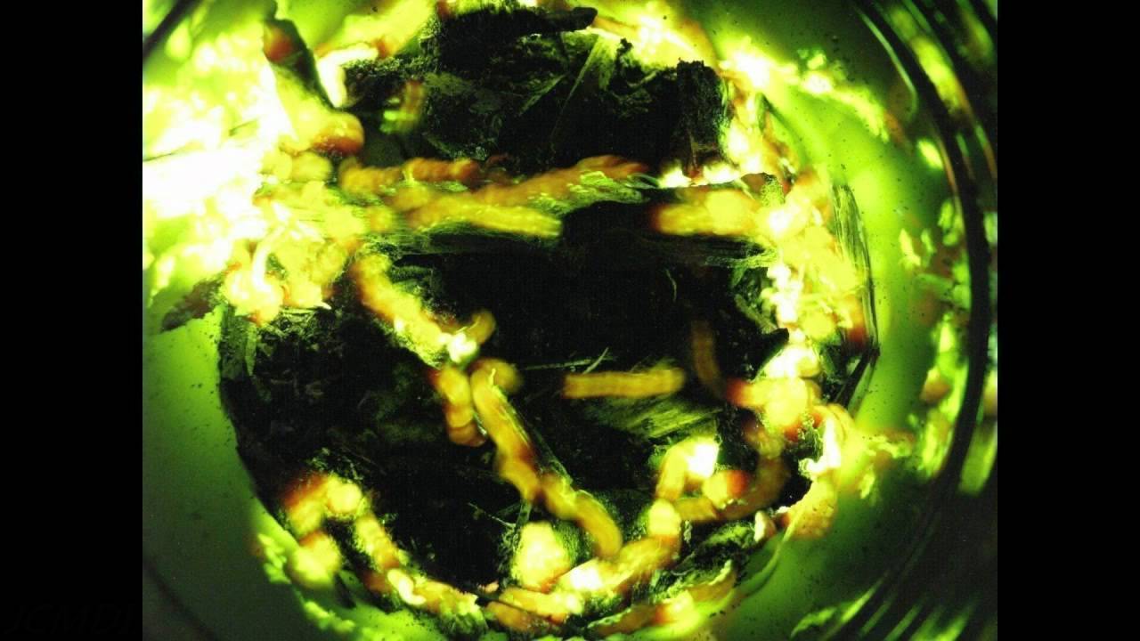 Glow Worm accumulated (composited) light trails NoDK V11572c