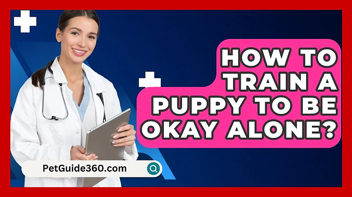 How To Train A Puppy To Be Okay Alone? - PetGuide360.com