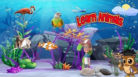 Learning objects with animation  Best Learning Video for Toddlers  | My Body Song