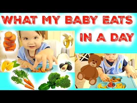 what-my-baby-eats-in-a-day-|-11-months-old-|-finger-food-ideas