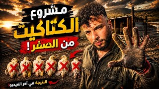 دجاجة فقصات 14 الفلوس وضاعو ليها 5 من ولادها 🐣🐥