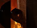 Assassin's Creed Nexus VR - Finding the Safe #acnexus #metaquest3