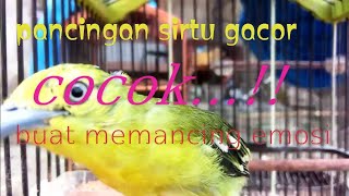 pancingan siulan sirtu/diku/cipow/..