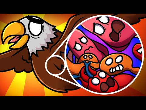 Are your organs different from a BIRD's?