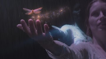 Virgin Mary Pistol Grip - Dragonfly feat. Ryan Delahoussaye [Official Video]