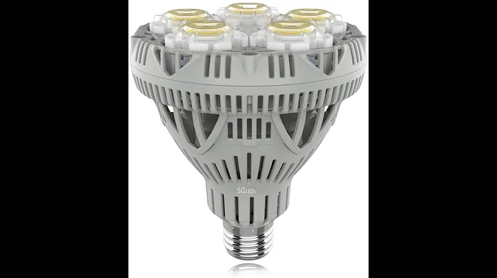 Review: SGLEDS 30W (200W - 250W Equivalent LED Bulb), 5000K LED Flood Light Bulb