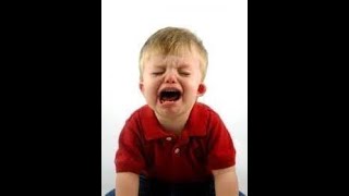 Yoda - The Master Of Rage