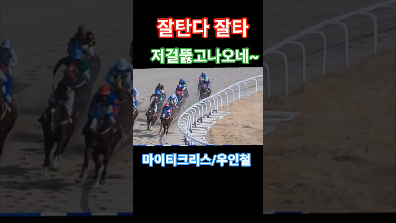 차세대 에이스#경마 #말 #달려라말 #shorts #horse