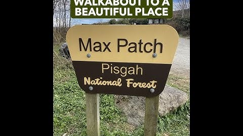 MAX PATCH WALKABOUT - VIDEO #82 #maxpatch #pisgahnationalforest #appalachiantrail #getoutside