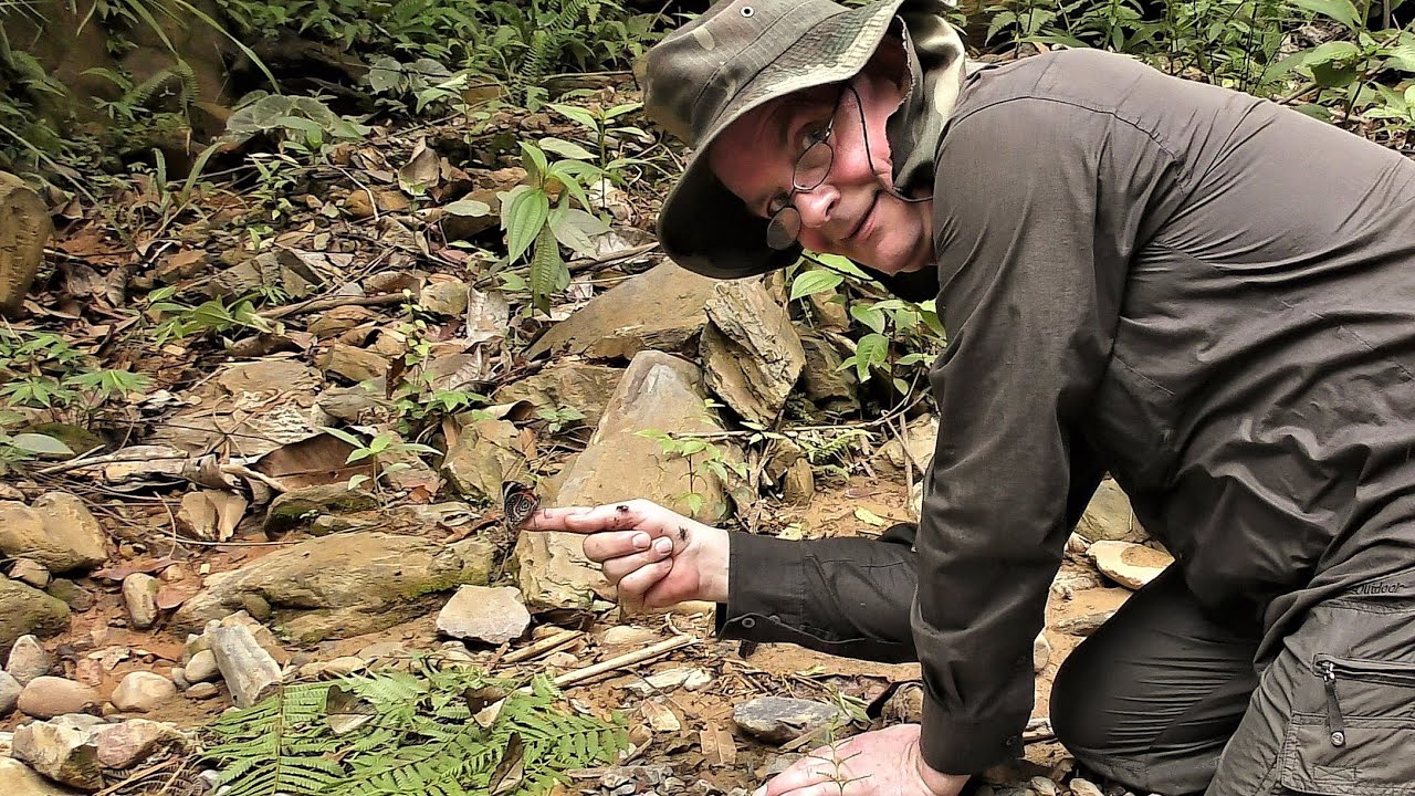 Close encounter with claudina