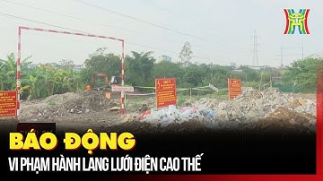 Báo động vi phạm hành lang lưới điện cao thế | Tin tức