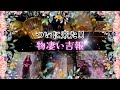 【超絶‼️😆】ついに来た‼️物凄い吉報‼️😆🙌🌈怖いほど当たる✨人生が変わるオラクルカードリーディング✨占い✨スピリチュアル✨