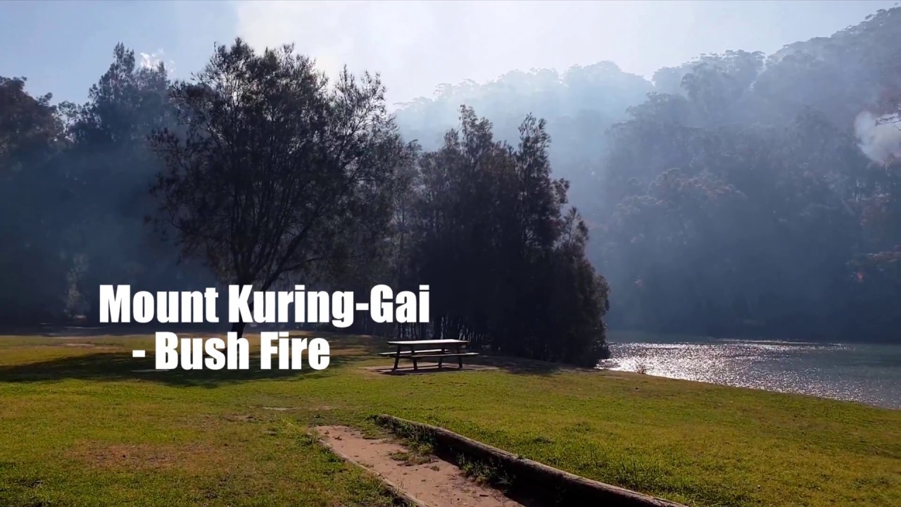 Mt Kuring Gai bushfire