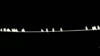 Untitled #9 - Smáskífa 1