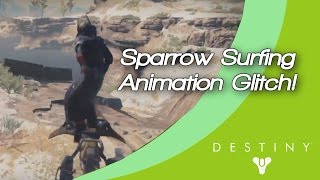 Destiny Sparrow Surfing! Animation Glitch!