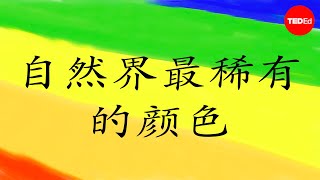 自然界中最稀有的颜色是什么？ - Victoria Hwang
