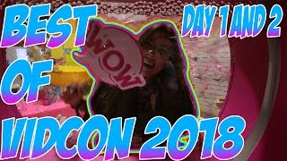 Some of The Coolest Moments and People at Vidcon US (2018) Guide