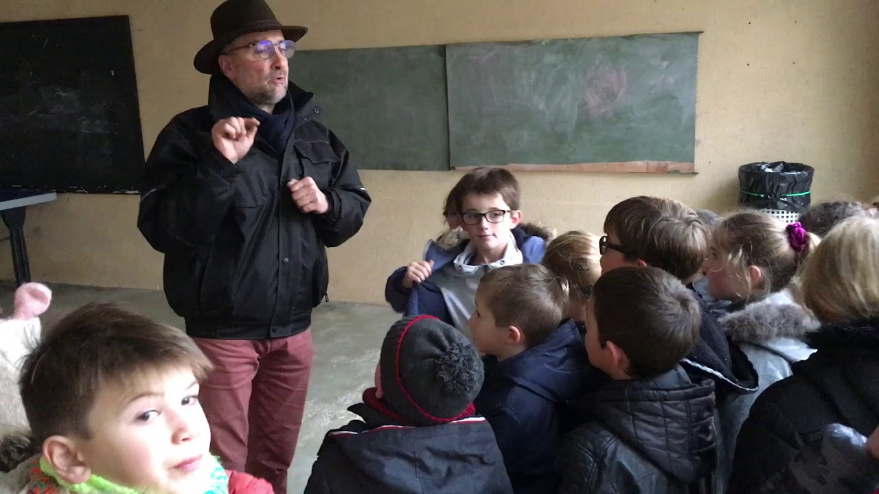 Observer les oiseaux