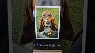 Custom Pet Portrait Coloring Page from Photo