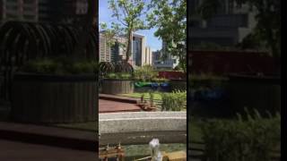 1040906小火車1