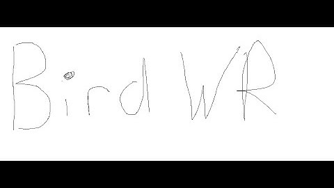 NEW bird error code WORLD RECORD in 15 seconds!