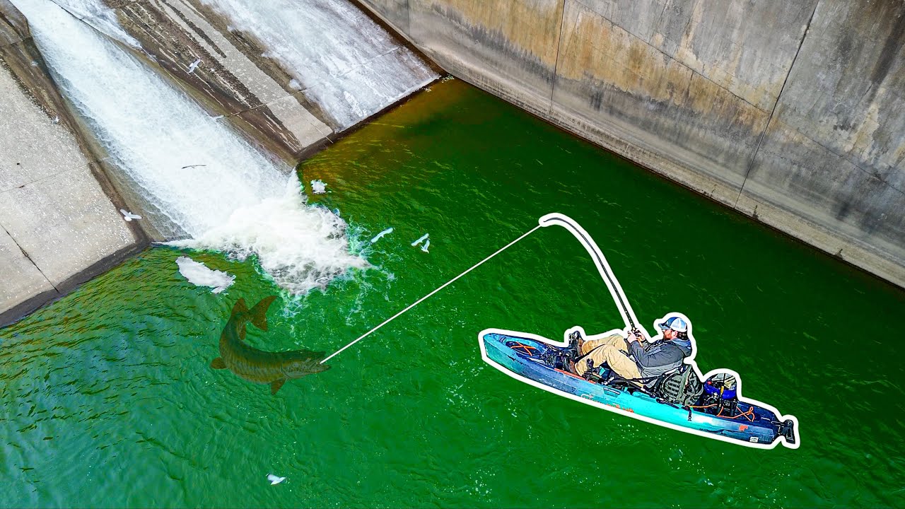 It Was A Normal Day… Then I Caught The FISH OF A LIFETIME!!! (New PB!)