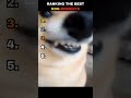 RANKING THE BEST DOG MOMENTS #shorts #dog #puppy