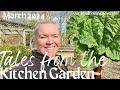 March in the vegetable garden