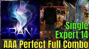 [DDR A20 PLUS] PRANA ESP 14 AAA PFC