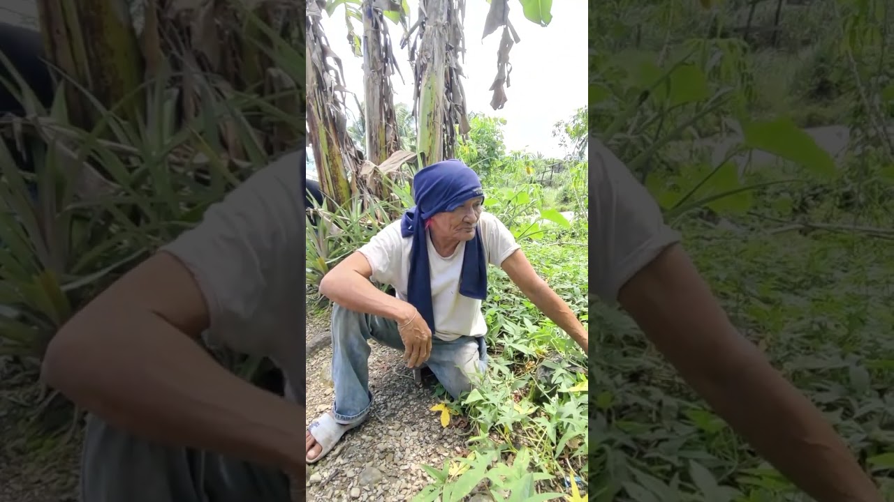 adiser pa si tatay maka kaon og bugas og naay mo hatag sa iya😭😭