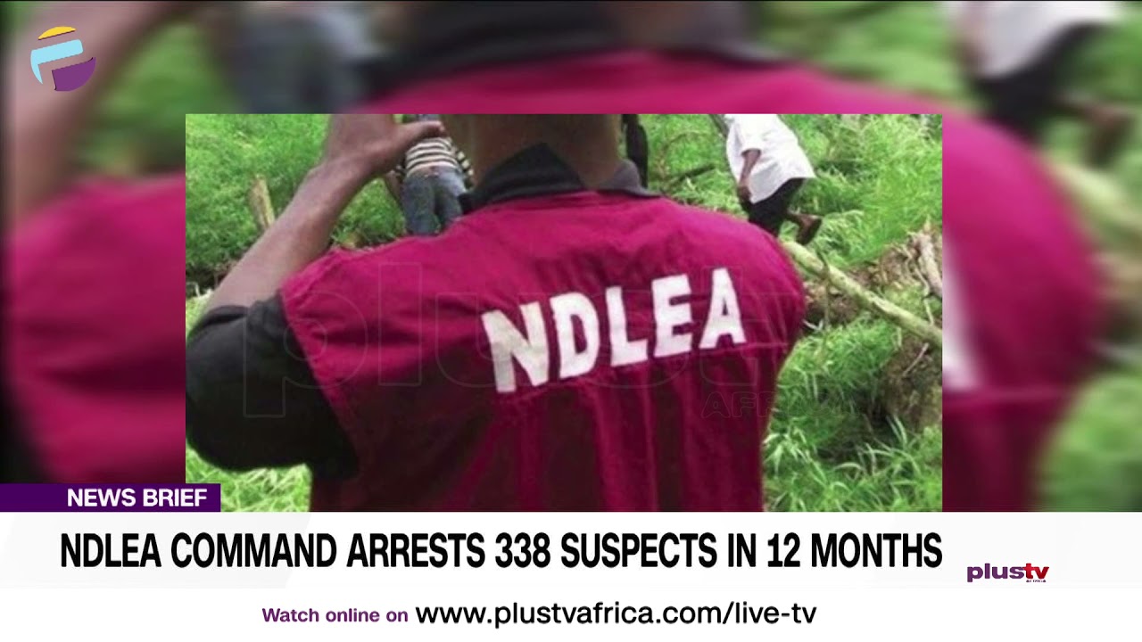 NDLEA Command Arrests 338 Suspects In 12 Months | NEWS