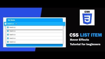 CSS List Item Hover Effects | Html CSS Tutorial For Beginners 2020 by itwatch
