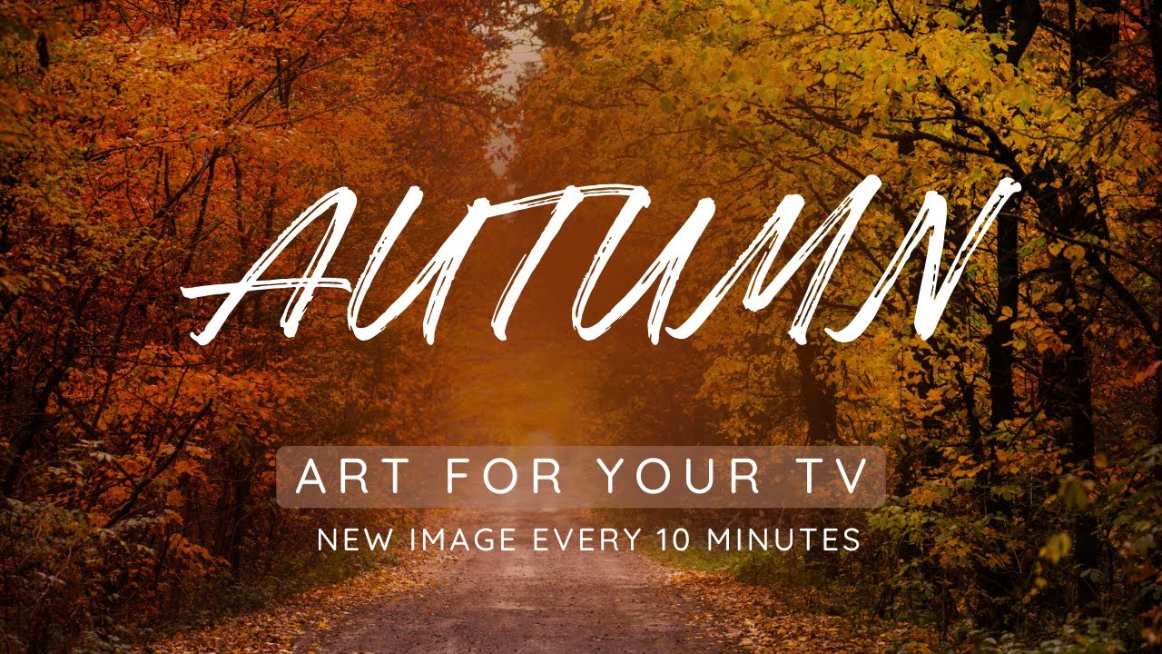 The Wild Quiet: Autumn’s Stillness | 4.5 Hours of Natural Fall TV & Screen Art & Ambience (No Music)