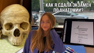 Готовлюсь к экзамену по анатомии за 2 дня | влог