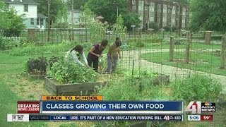 School garden teaches students life lessons