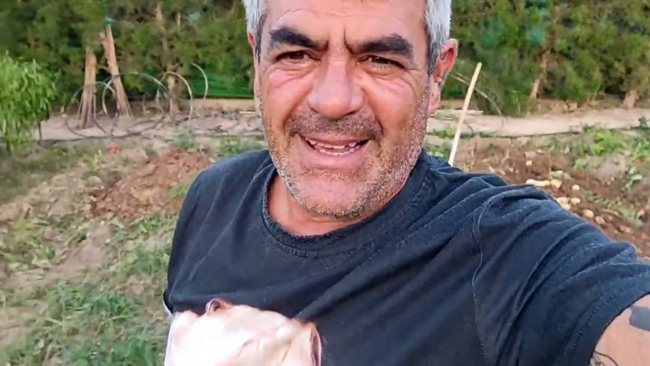 5 errores que no debes cometer al plantar tus patatas.