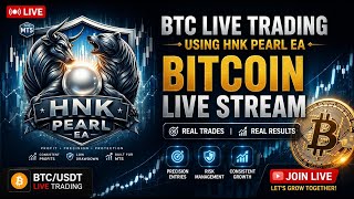 BTC Live Trading - NHK Pearl EA Trading #EApearl #Btclivetrading #btcalgotrading