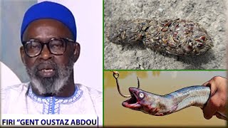 Firi Guent Oustaz Abdou Karim Ba Tfm Rêver Dexcréments Firi Guent Djane Serpent Mou Wadd....