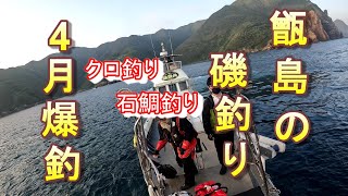 【中甑島釣行】由良の離れの釣り爆釣